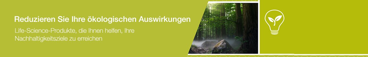 21298_WE46331-header-footprint_text_DE_ 21298_WE46331-header-footprint_text_DE_