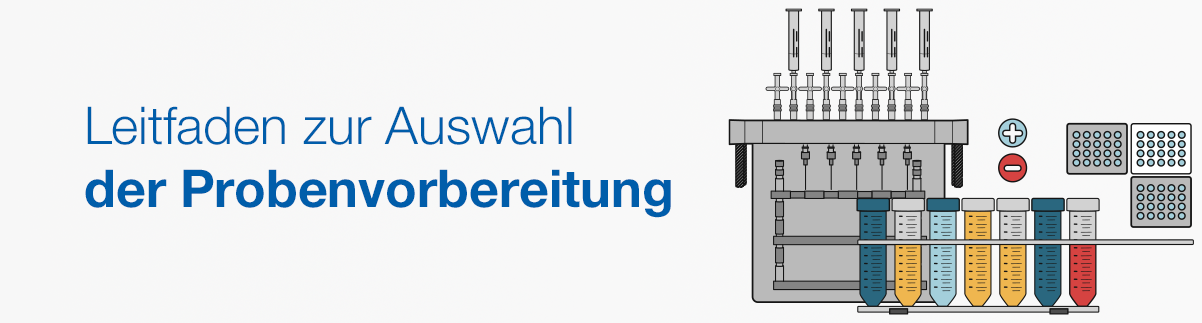 19713_sg_banner_EN