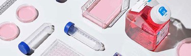 Product Selection Guide for Every Step of Your Cell Culture Workflow